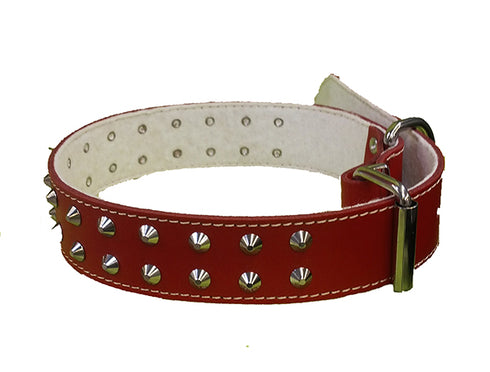 Zgarda Piele Rosie cu Tinte Animax Nr.6